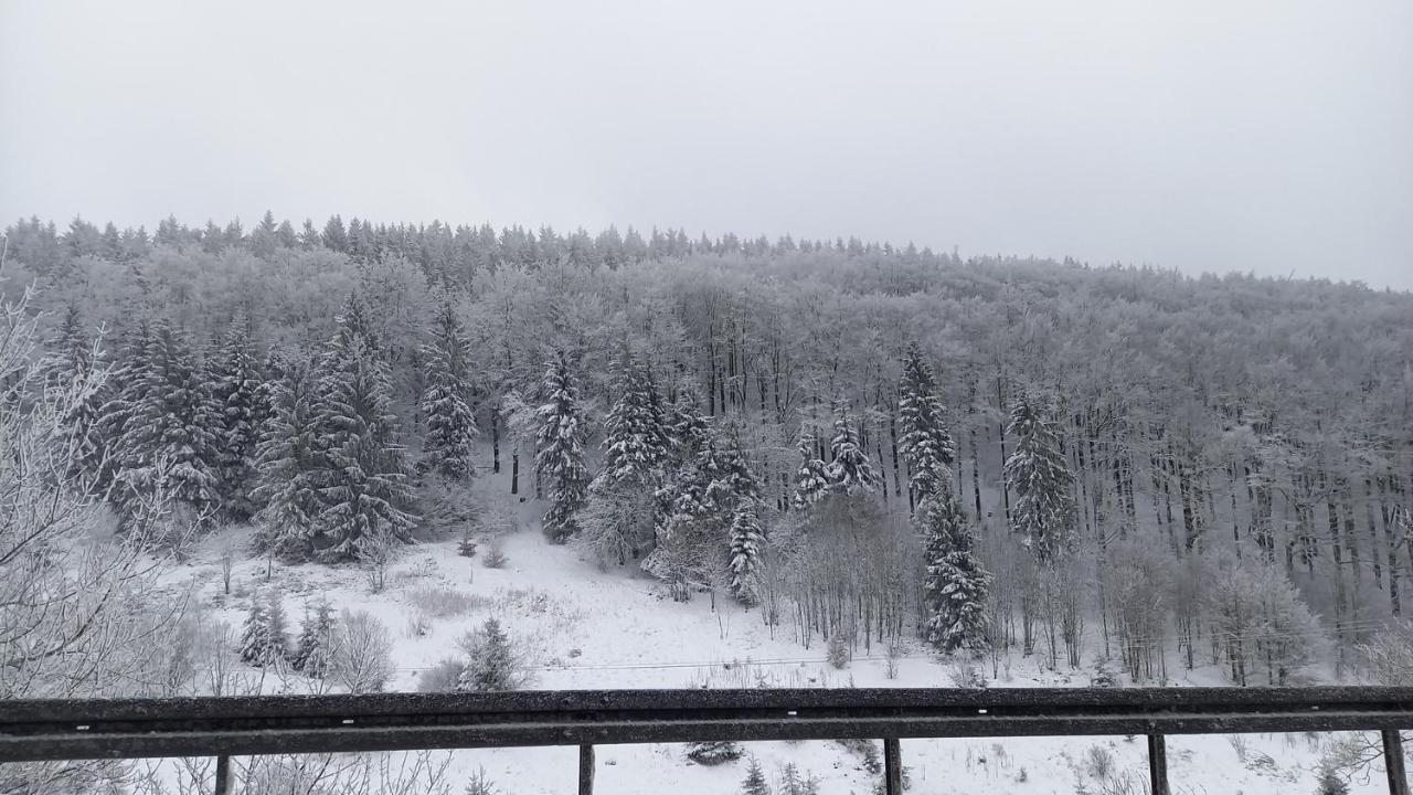 Monteur- Und Ferienwohnung Waldrauschen Fehrenbach Dış mekan fotoğraf