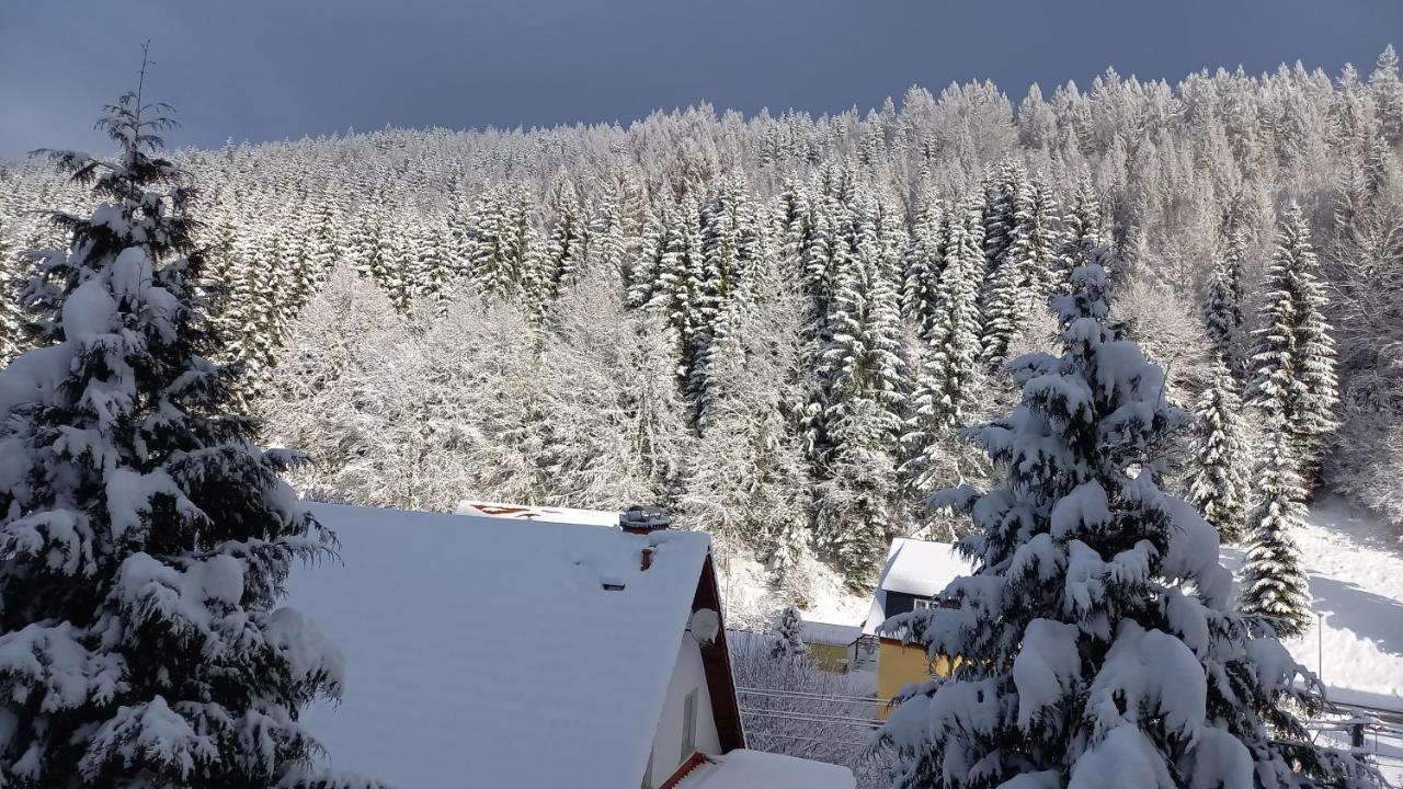 Monteur- Und Ferienwohnung Waldrauschen Fehrenbach Dış mekan fotoğraf