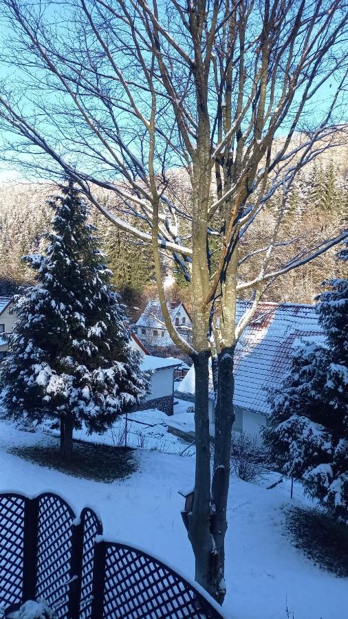 Monteur- Und Ferienwohnung Waldrauschen Fehrenbach Dış mekan fotoğraf