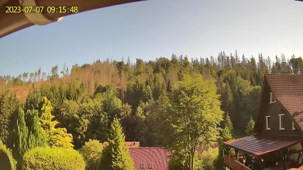 Monteur- Und Ferienwohnung Waldrauschen Fehrenbach Dış mekan fotoğraf