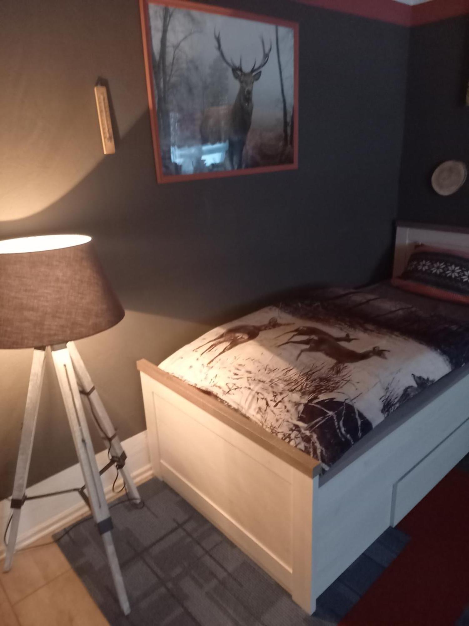 Monteur- Und Ferienwohnung Waldrauschen Fehrenbach Dış mekan fotoğraf