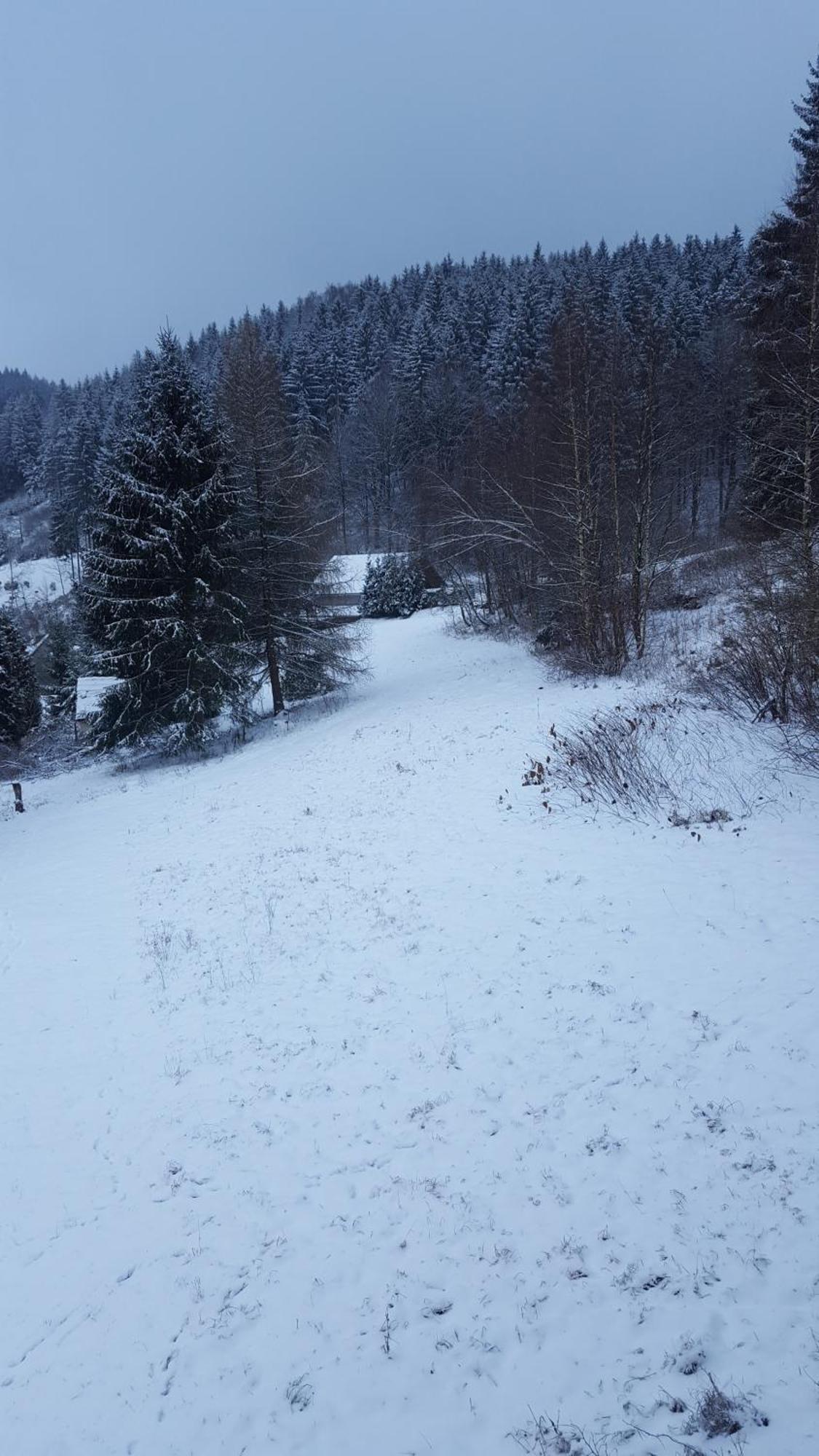 Monteur- Und Ferienwohnung Waldrauschen Fehrenbach Oda fotoğraf