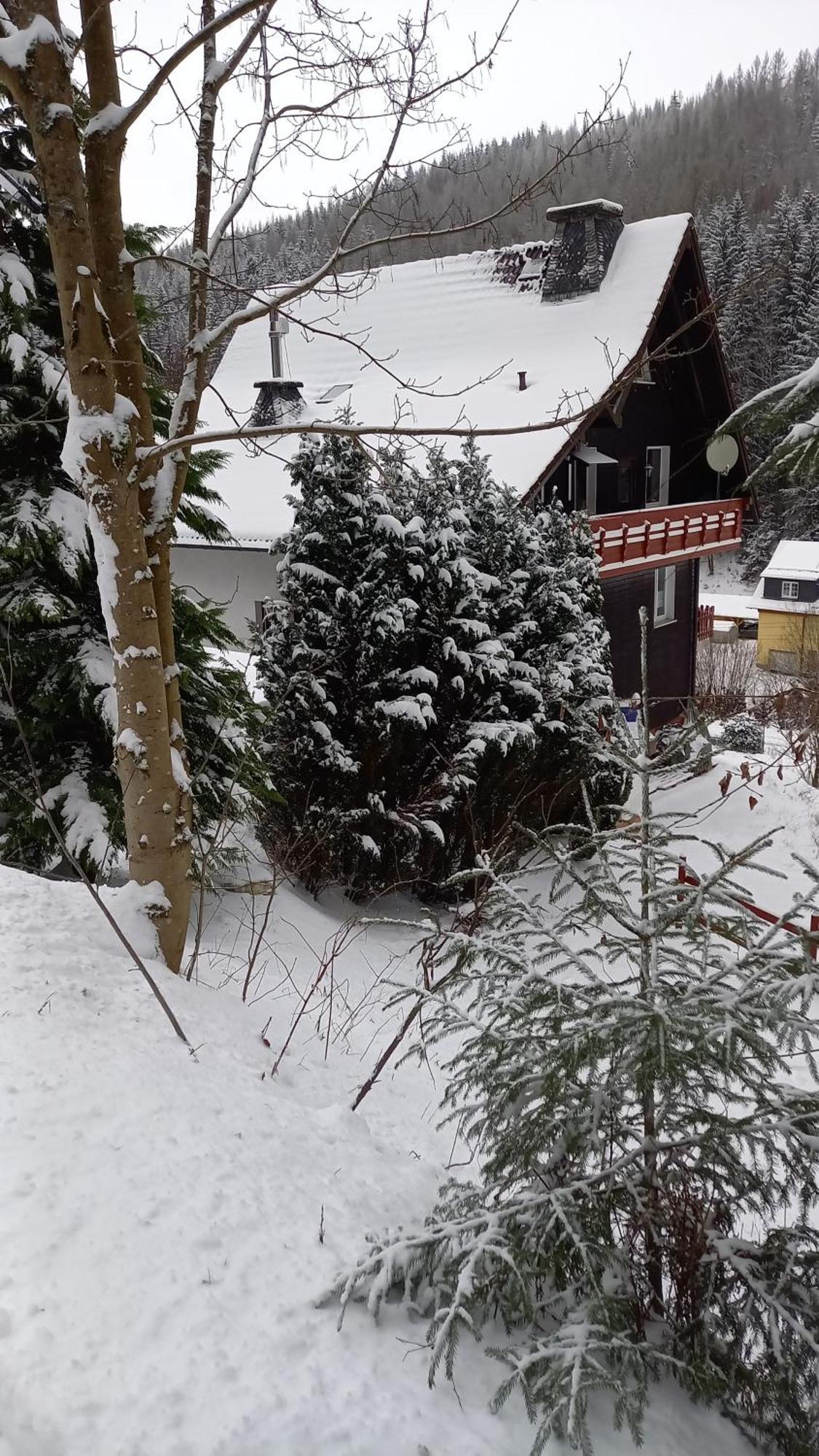 Monteur- Und Ferienwohnung Waldrauschen Fehrenbach Oda fotoğraf