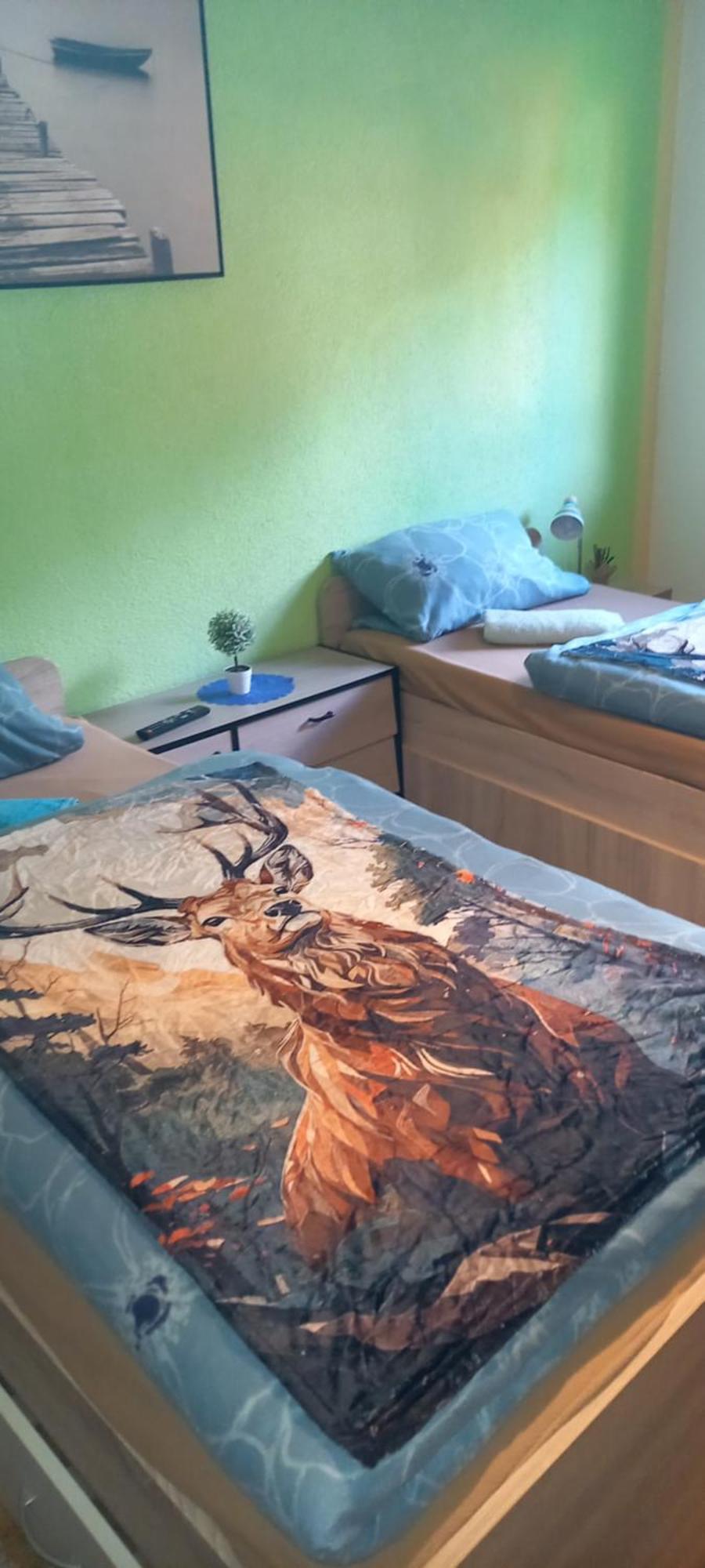 Monteur- Und Ferienwohnung Waldrauschen Fehrenbach Dış mekan fotoğraf