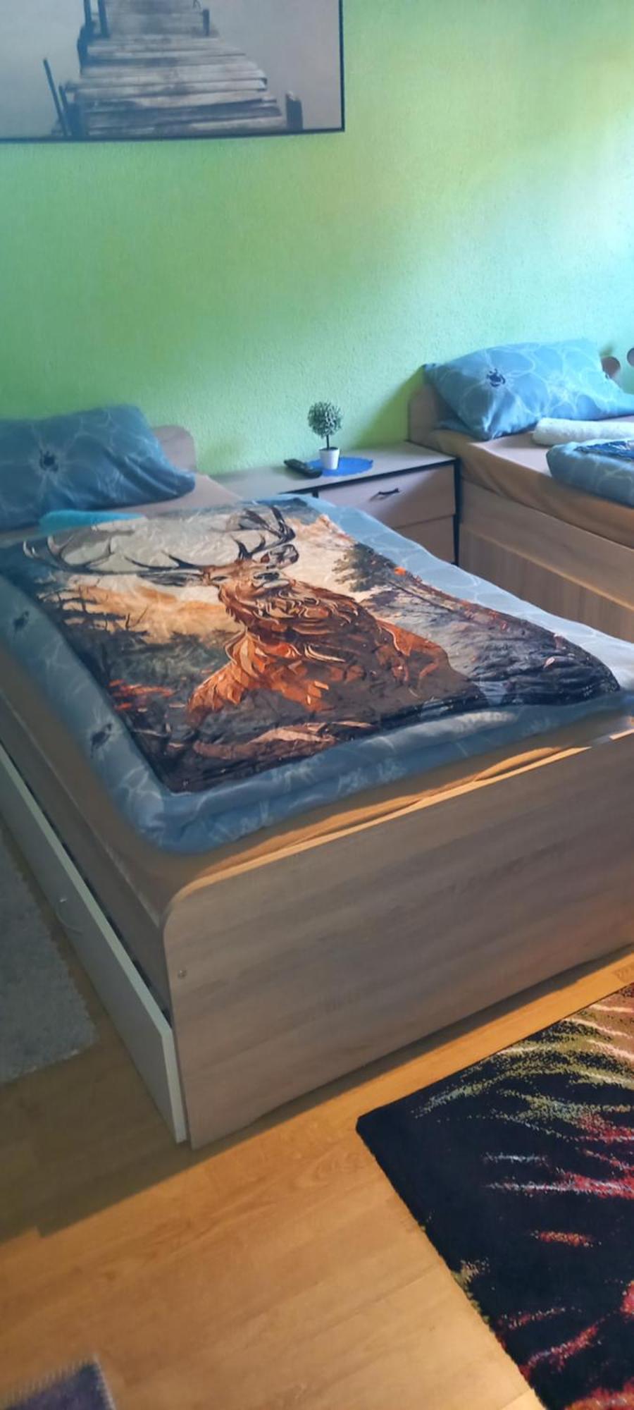 Monteur- Und Ferienwohnung Waldrauschen Fehrenbach Dış mekan fotoğraf