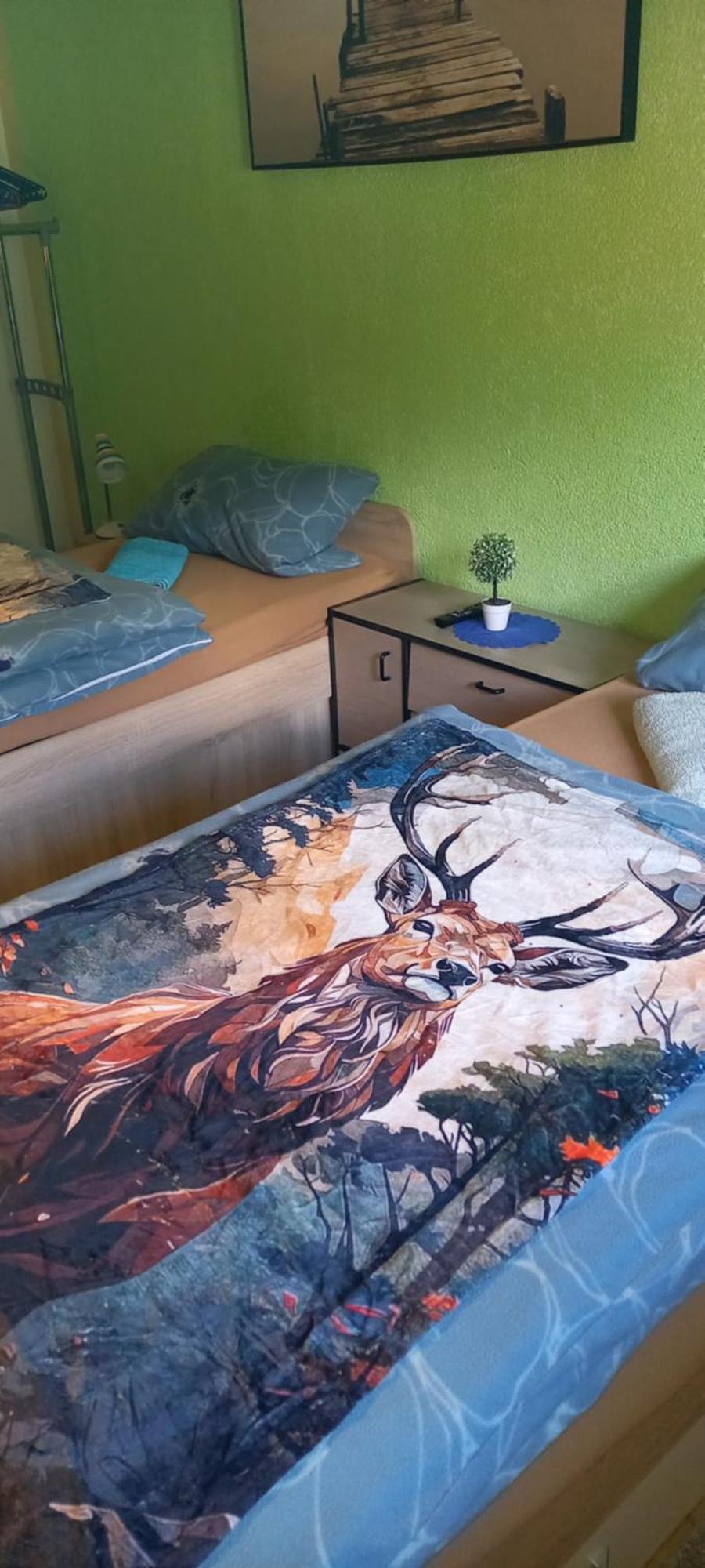 Monteur- Und Ferienwohnung Waldrauschen Fehrenbach Dış mekan fotoğraf